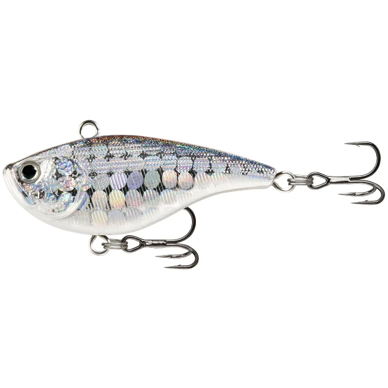 Disco Shad