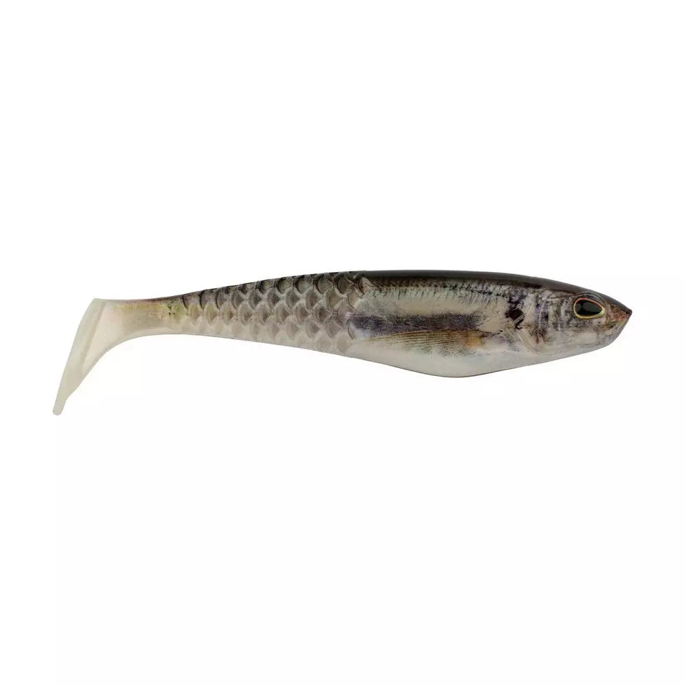 HD Gizzard Shad