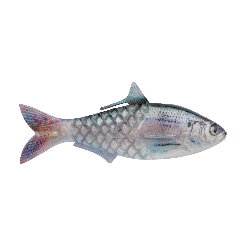 HD Blueback Herring