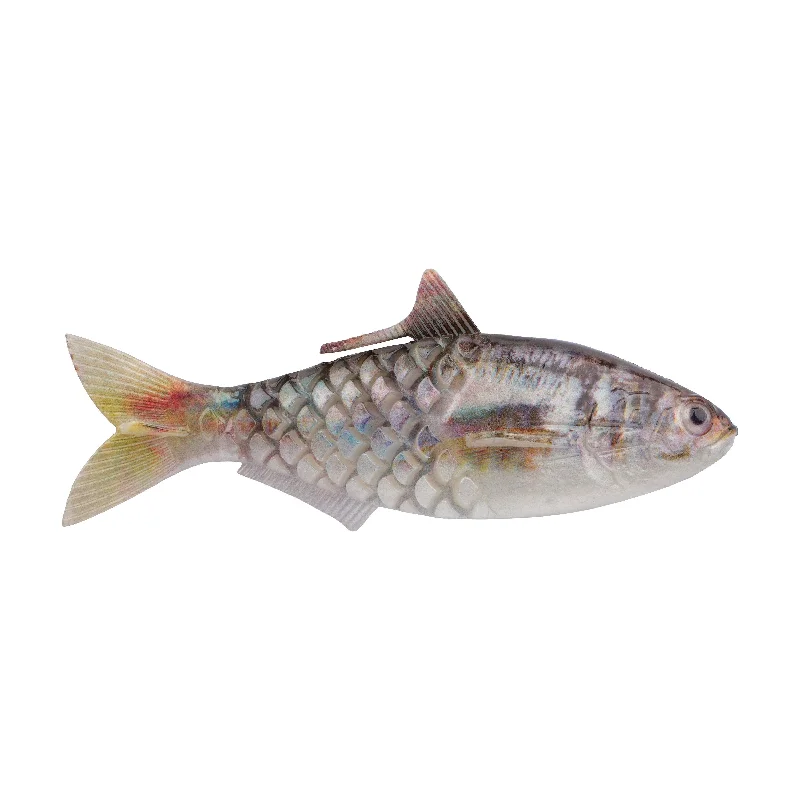 HD Gizzard Shad