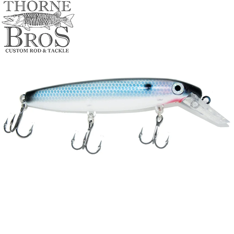 Blue Back Shad