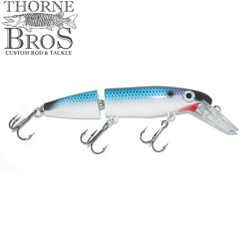 Blue Back Shad