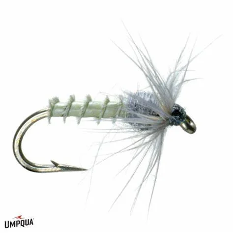 BWO Biot Emerger