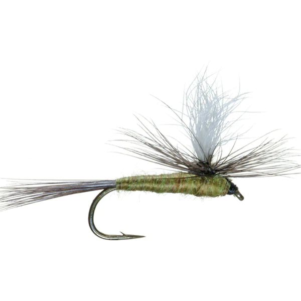 BWO Parachute