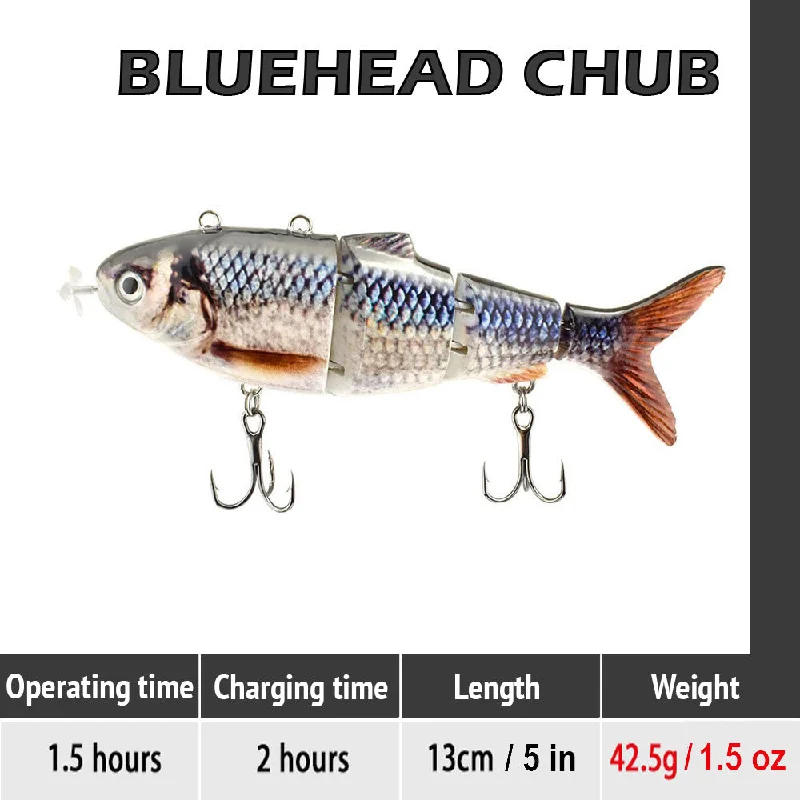 Bluehead Chub