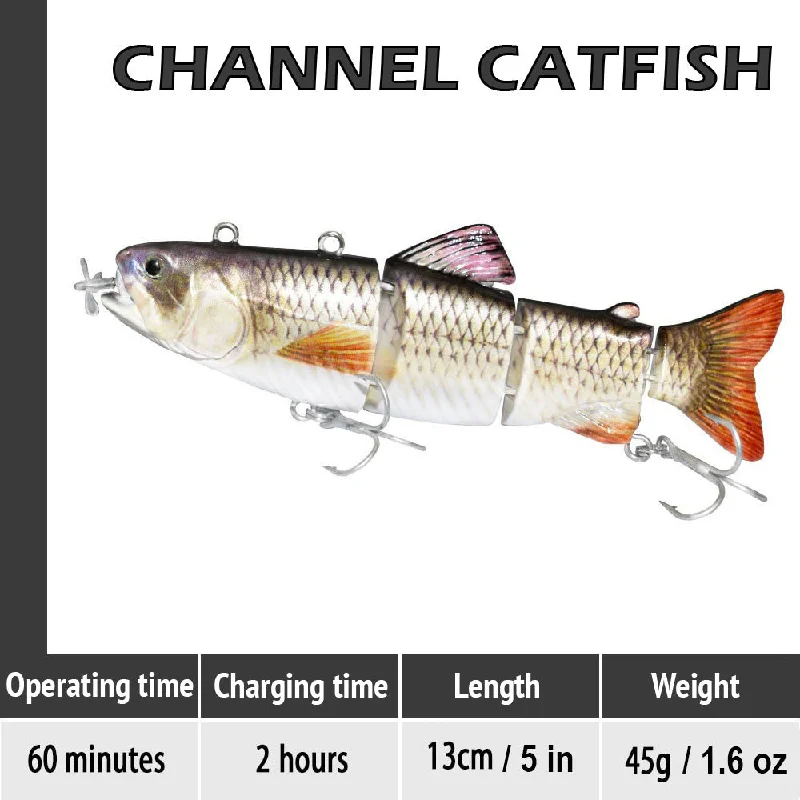 Channel Catfish