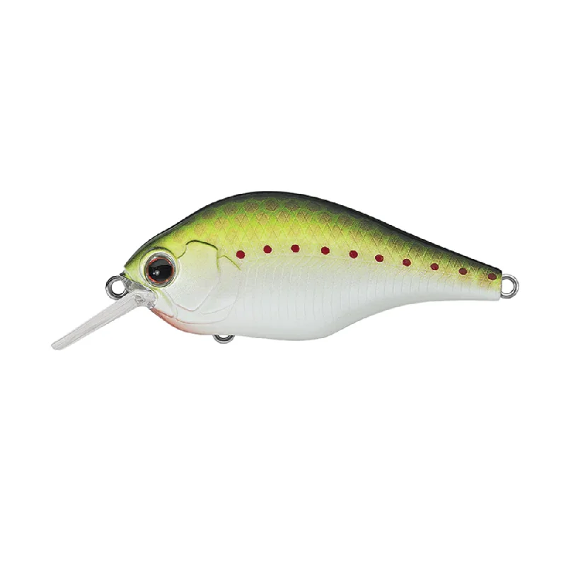 Olive Copper Shad