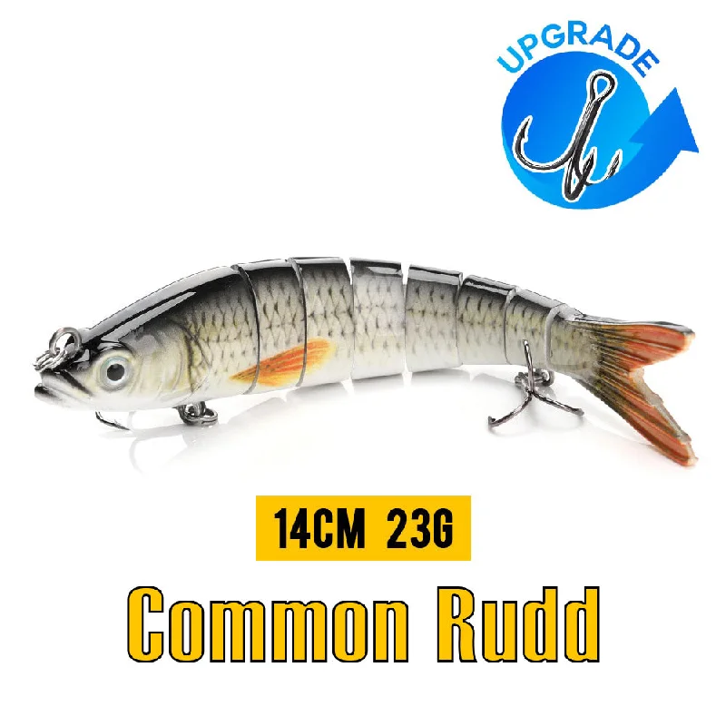 Common Rudd