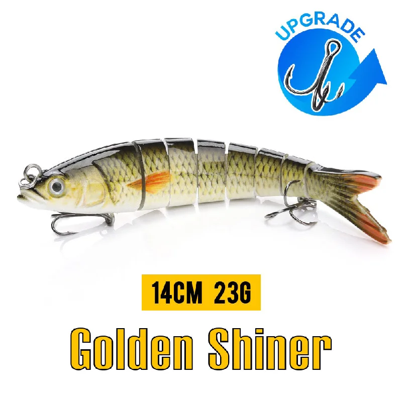 Golden Shiner