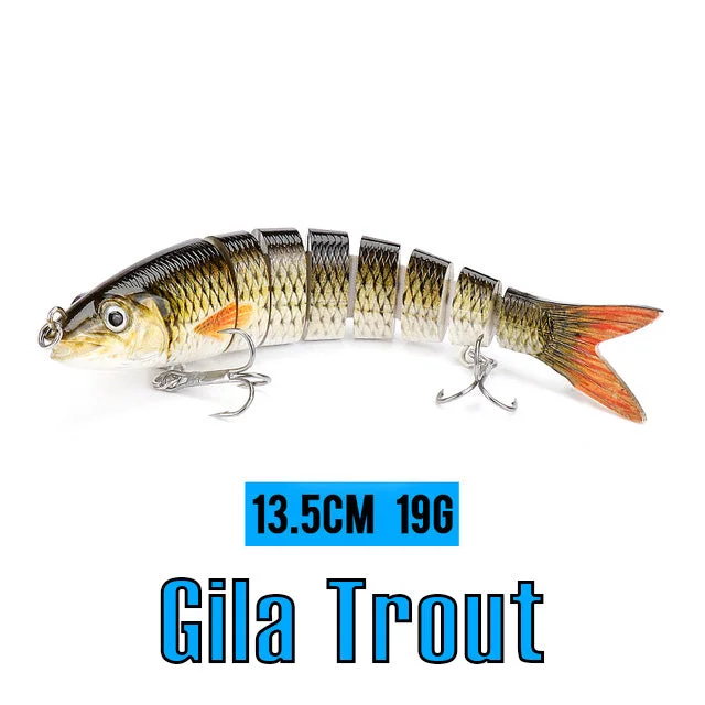 Gila Trout