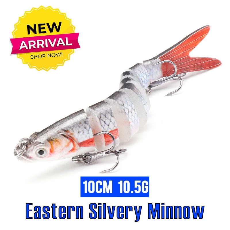 Eastern Silvery Minnow