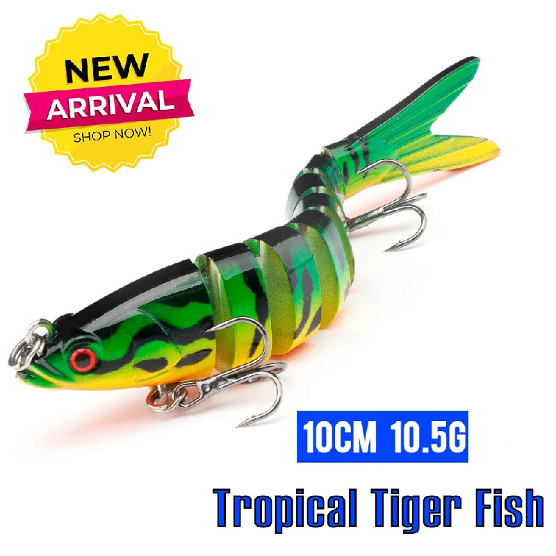 Tropical Tiger Fish