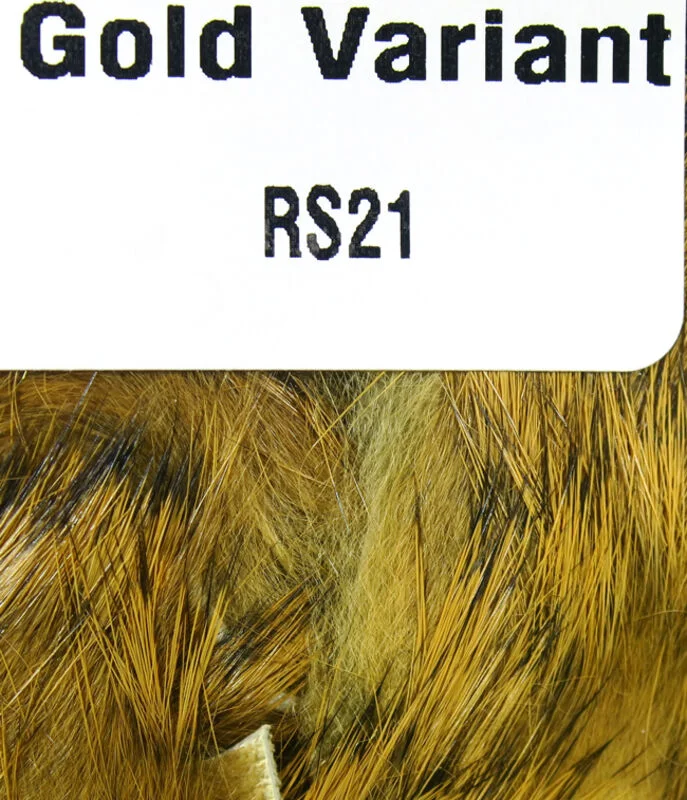 Gold Variant