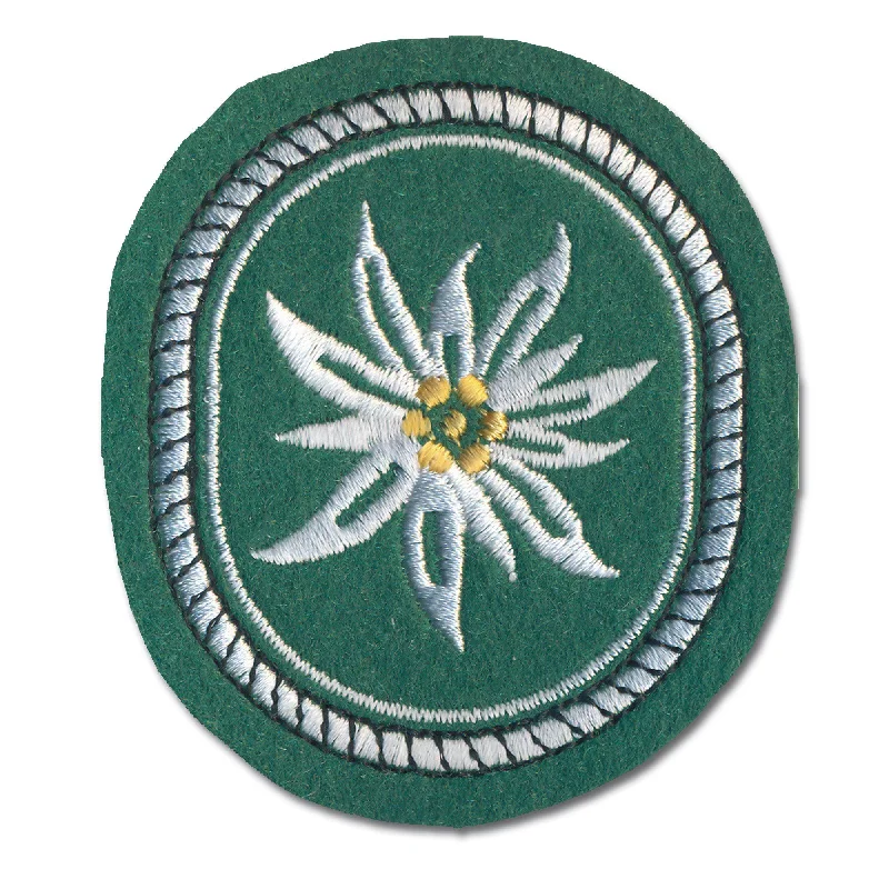 Insignia 1st Mountain Division textile