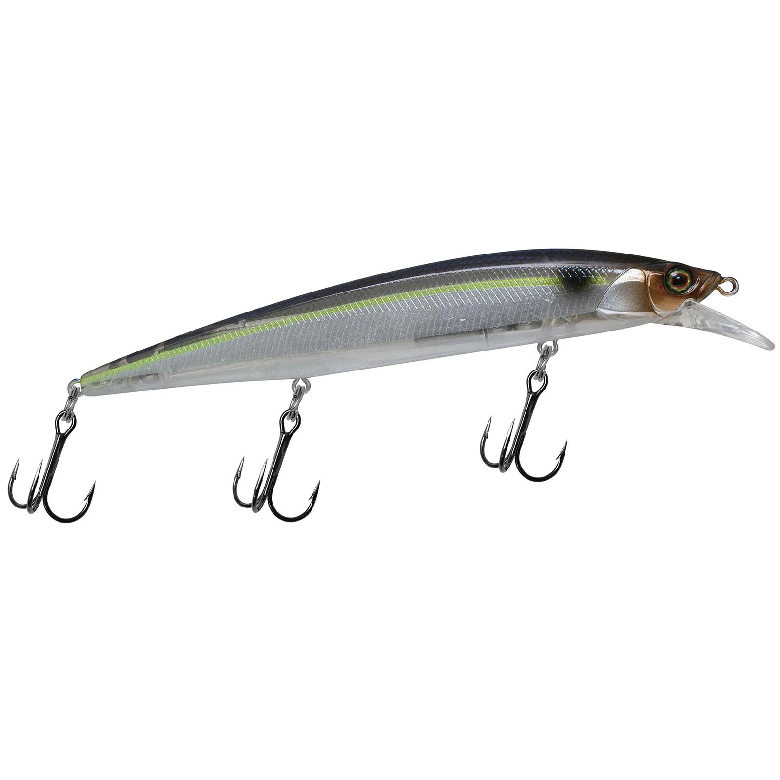 SG Threadfin Shad