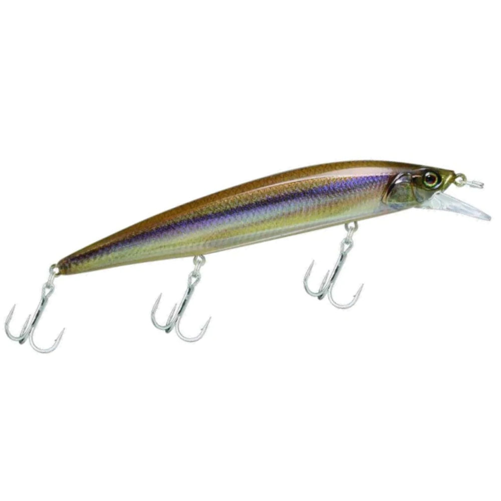 RT Minnow