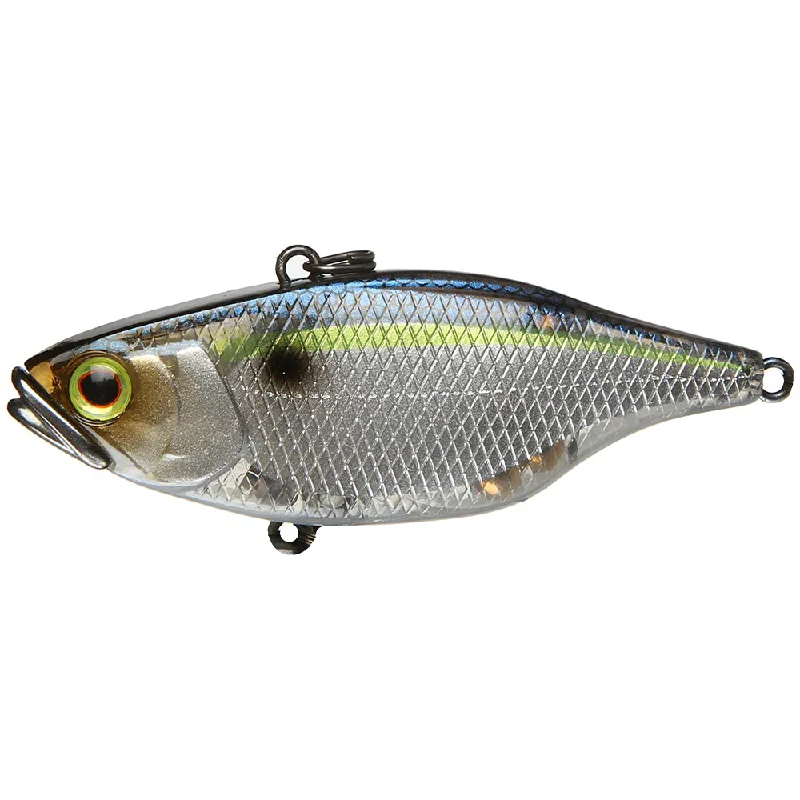 SG Threadfin Shad