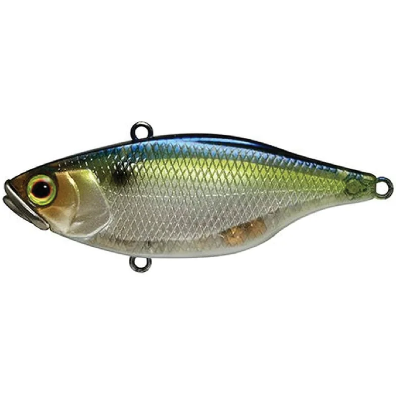 SG Threadfin Shad