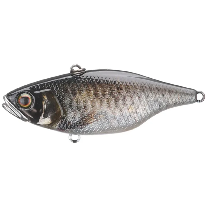 RT Scale Minnow