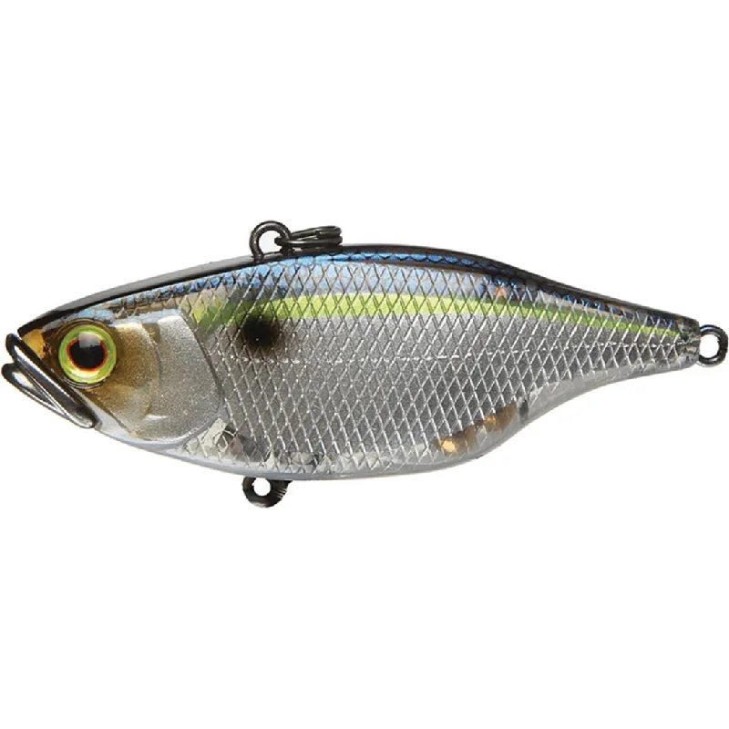 SG Threadfin Shad