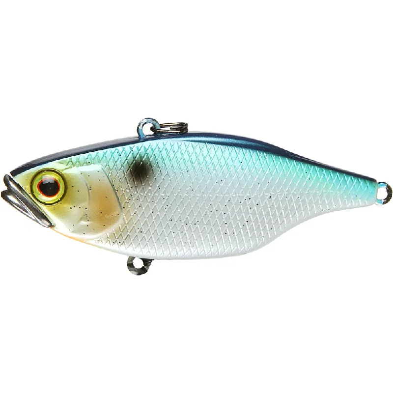 Sparkle SS Shad