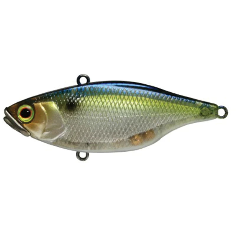 SG Threadfin Shad