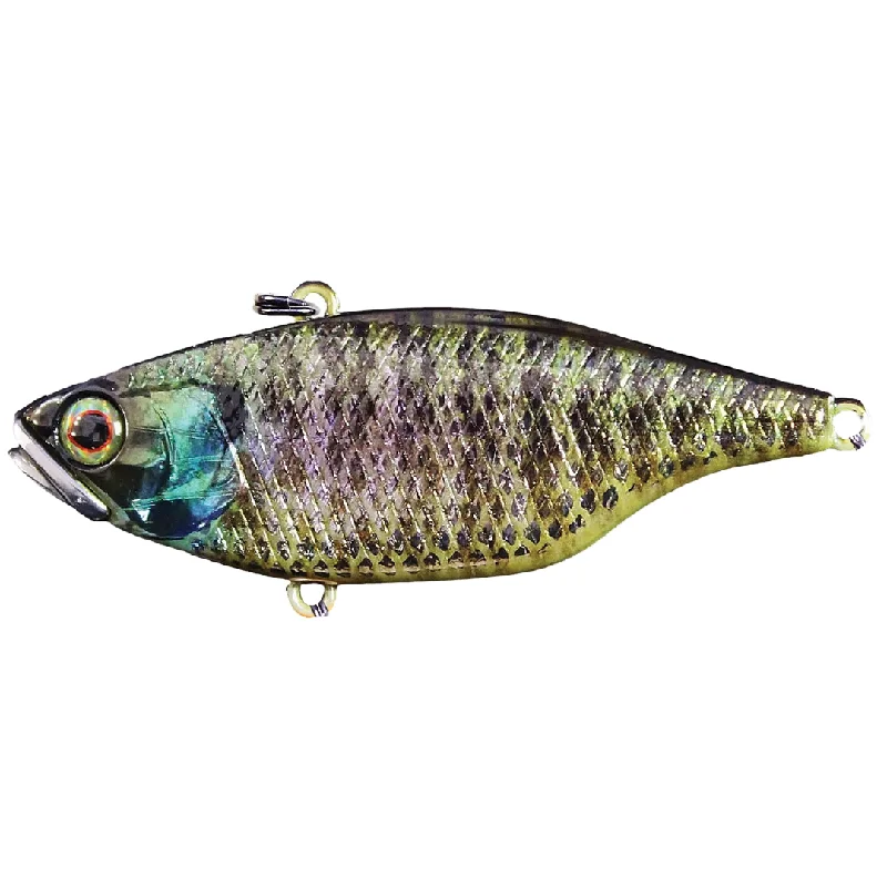 RT Holo Bluegill