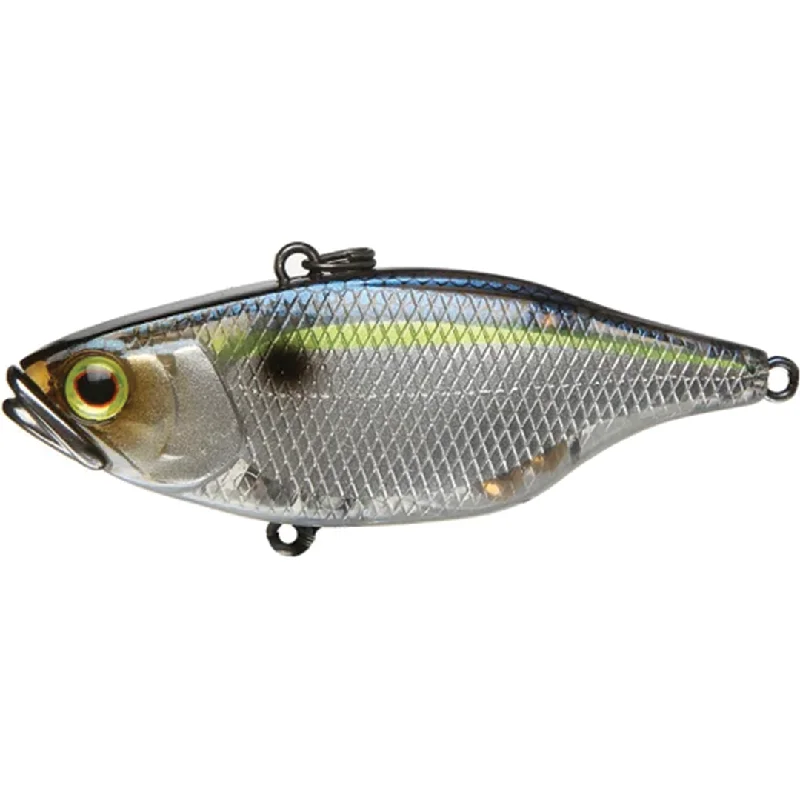 SG Threadfin Shad