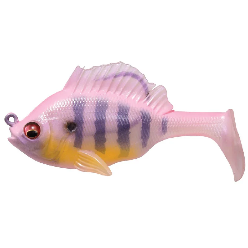 Pink Back Gill