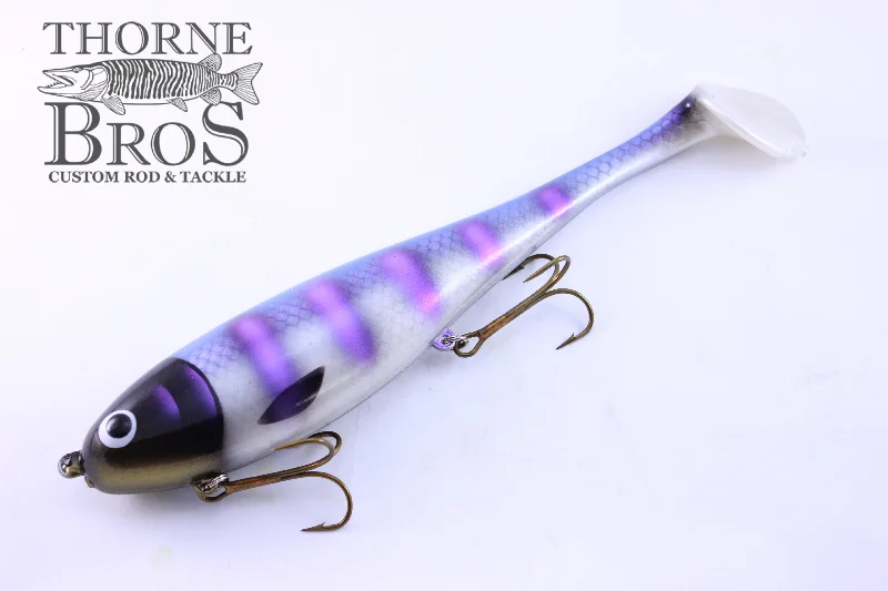 TB Custom Purple Cisco