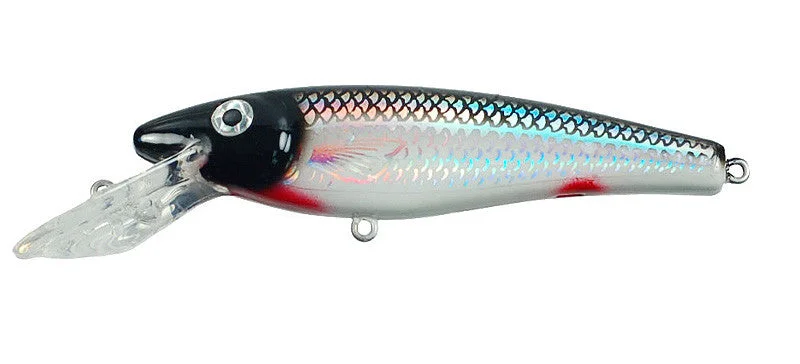 Holoform Silver Shiner