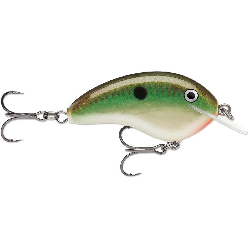 Copper Green Shad