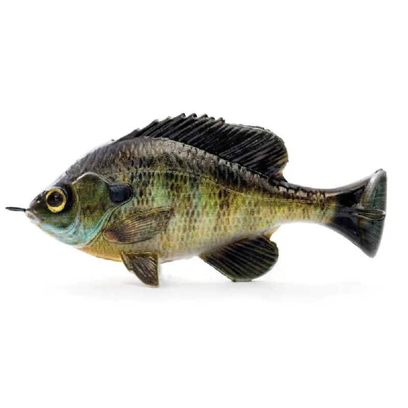 Bluegill