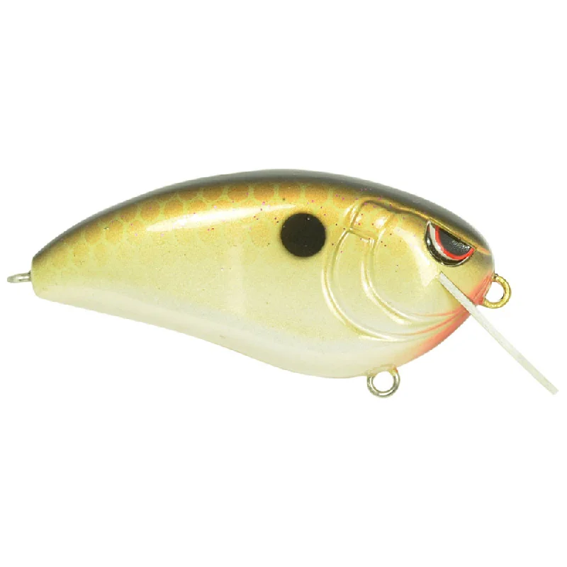 Copper Shad