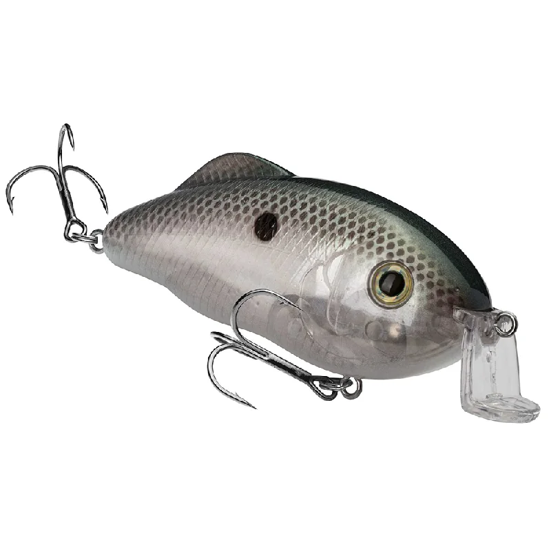 Green Gizzard Shad