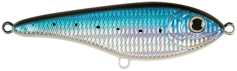 Blue Sardine