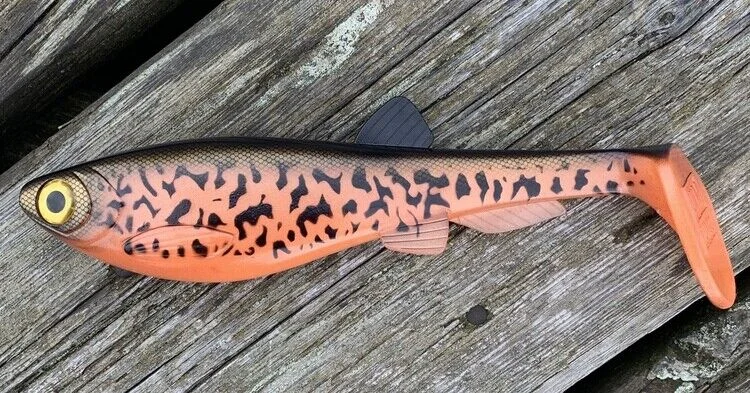 Sunburst Burbot