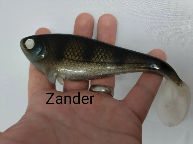 Zander