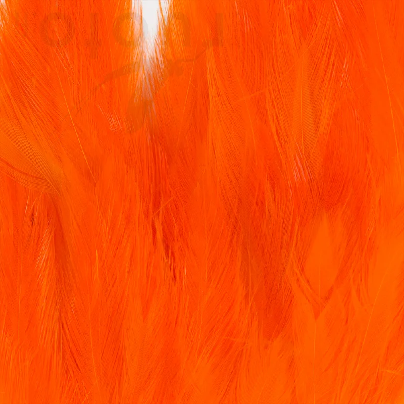 Fluorescent Orange