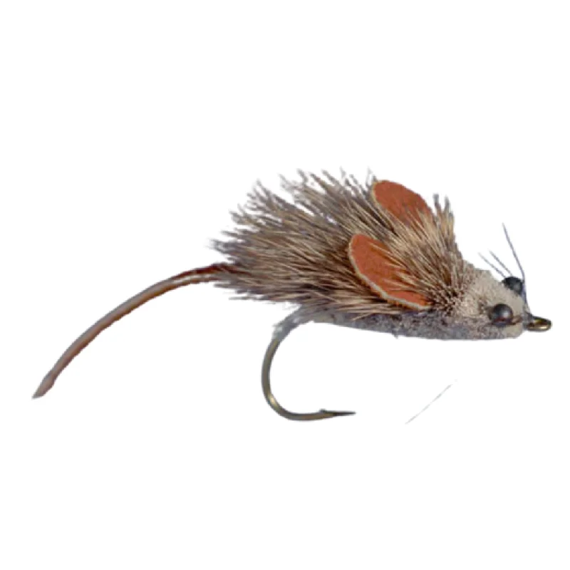 Whitlock's Mouse Rat